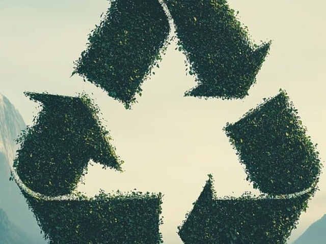 Sustainability & Eco-Friendliness
